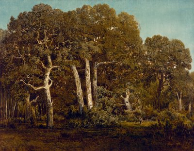 Die großen Eichen von Old Bas-Breau, 1864 von Pierre Etienne Theodore Rousseau